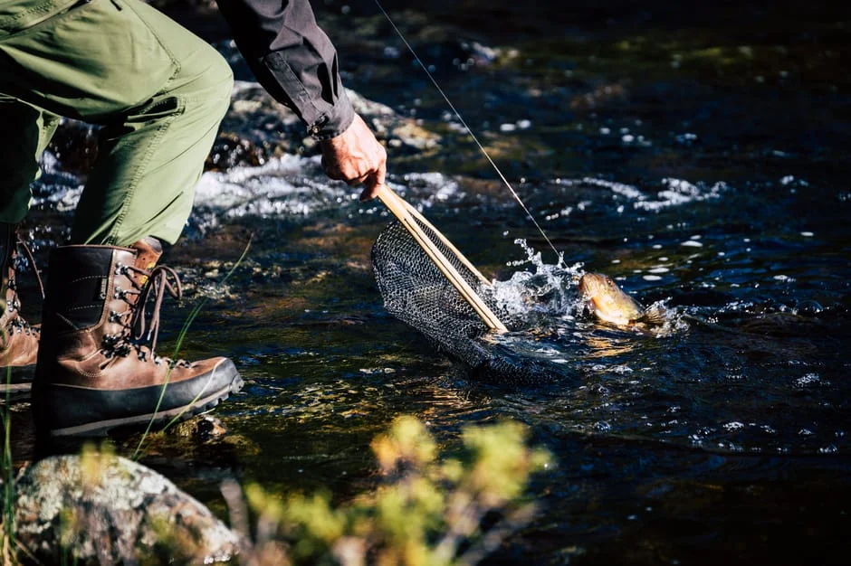 Wet Wading Pants Buyer's Guide: Top Picks Reviewed